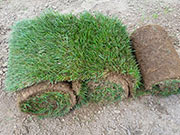 Срезанная с почвой трава